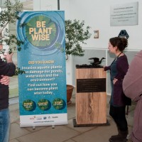 be plant wise 1000 1014